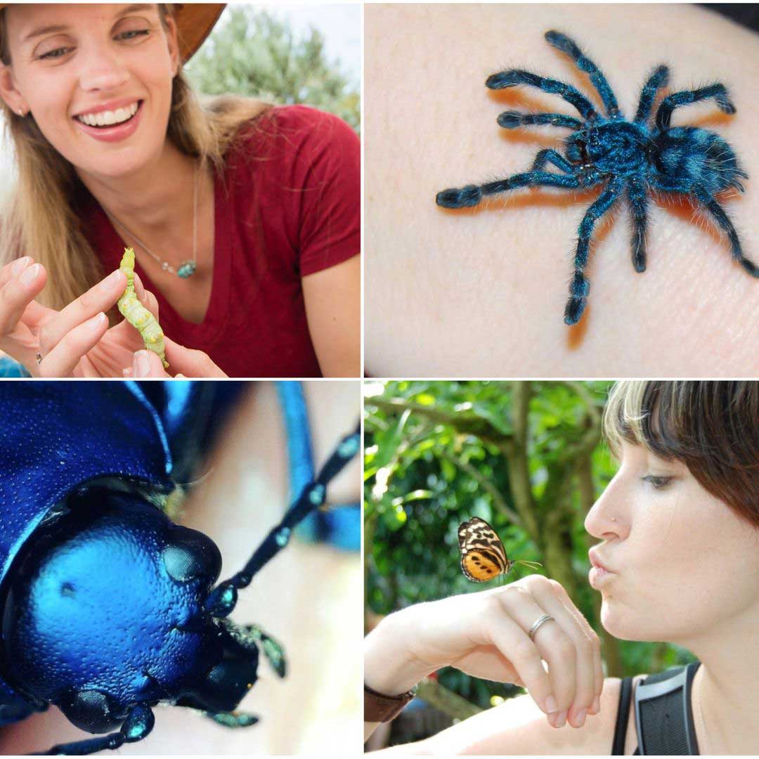 Entomologists Kristie Reddick, M.S. and Jessica Honaker, M.S. with insects